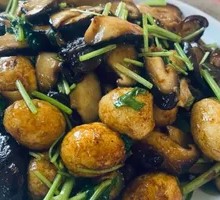 草菇鹌鹑蛋