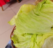 Lettuce