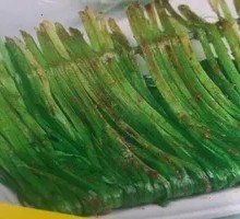 Leek