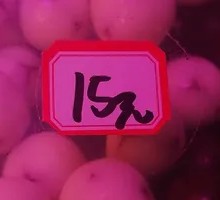 Yogurt Hawthorn