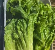 Lettuce