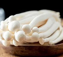 White Cloud Mushroom