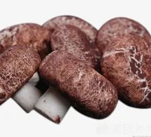 Shiitake Mushroom