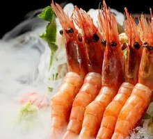 Arctic Shrimp Sashimi