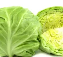 Cabbage