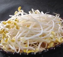 Bean sprouts