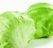 Romaine lettuce