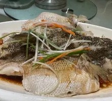 清蒸河鲈鱼