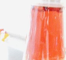 Health Tea with Fruits