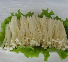 Enoki Mushroom