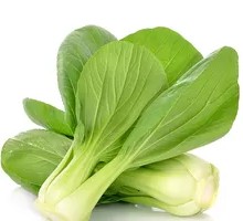Chinese cabbage