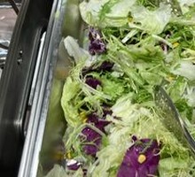 Mixed Vegetable Salad