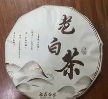 福鼎老白茶
