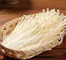 Enoki Mushroom