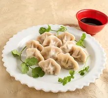Beef Jerky Dumplings