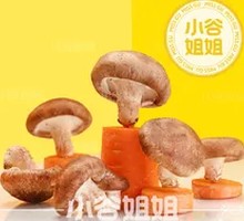 Shiitake Mushroom