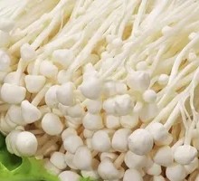 Enoki Mushroom