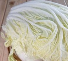Chinese cabbage