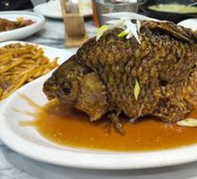 Carp Bouncing in Net