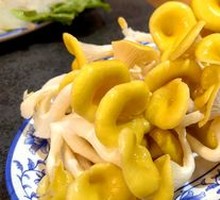 云南鸡油菌