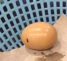 Special Tea Eggs