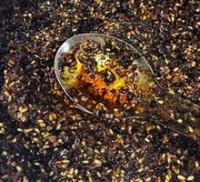 Chili Oil