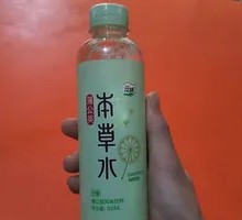 蒲公英本草水