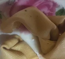 Tofu Skin