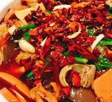 Premium Maoxuewang