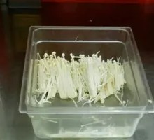 Enoki Mushroom