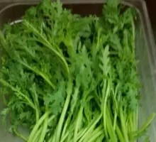 Chinese chrysanthemum greens
