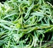 西湖道虾皮野菜素包