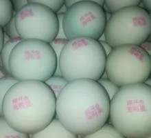 梅氏海鸭蛋