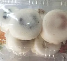 Rice Cake
