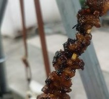 Chicken Skin