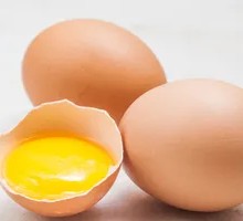 进口无菌蛋