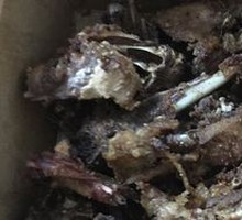 Salt-and-pepper Duck Frame