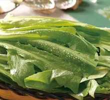 Oilseed lettuce