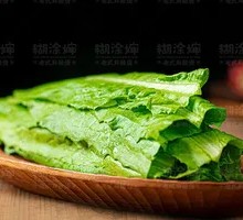 Oilseed lettuce