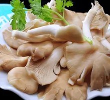 Enoki Mushroom