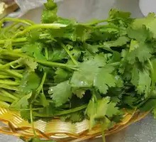 Cilantro