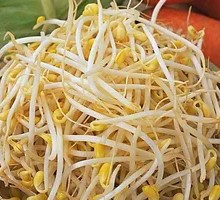 Bean sprouts