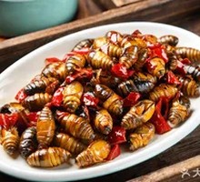 Salted Pepper Silkworm Pupae