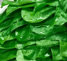 Spinach