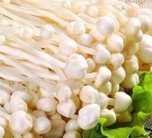 Enoki Mushroom