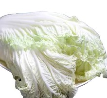 Chinese cabbage