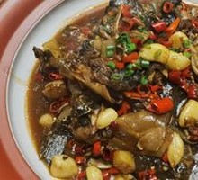 Spicy Softshell Turtle