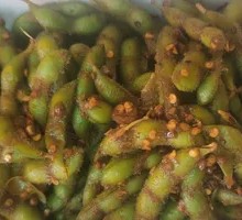 Edamame