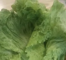 Romaine Lettuce