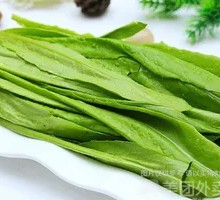 Oilseed lettuce